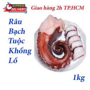 Râu bạch tuộc khổng lồ - Thực Phẩm Samy - Công Ty TNHH Thực Phẩm Samy